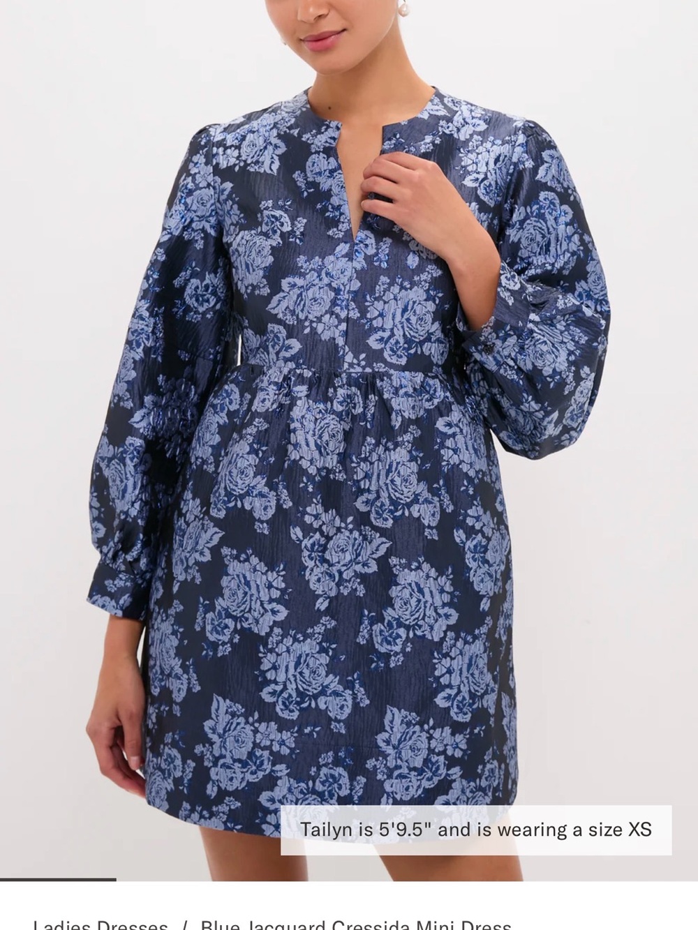Tuckernuck Blue Floral Jacquard Mini Dress